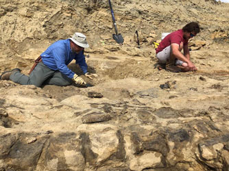 Two scientists working on fossils in the ground along the Jurassic Mile dig site in Wyoming.